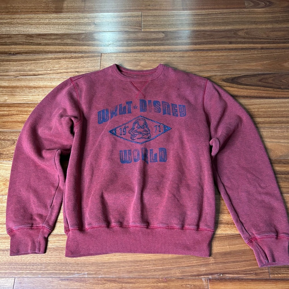 Walt Disney World parks grumpy Graphic Pullover Sweatshirt - Adult S